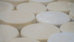 Производство локальной продукции нарастили на Ставрополье на 13%