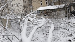 В Шпаковском округе устраняют последствия ураганного ветра