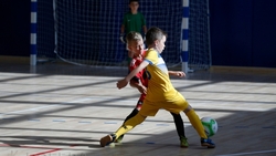 Юные ставропольские футболисты отправятся за всероссийским «Кожаным мячом»