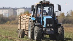 Свыше 480 тракторов закупят на Ставрополье в течение двух лет