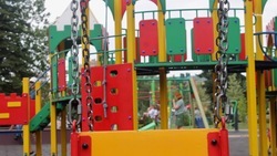 Губернатор Ставрополья порекомендовал построить в селе Дмитриевском новую детскую площадку