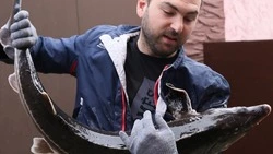 Ставрополец занялся разведением осетра благодаря соцконтракту 