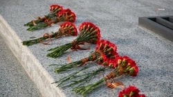 Территорию у воинского мемориала обновили в Красногвардейском округе