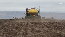 Сев ранних яровых выполнили в Красногвардейском округе на 42%