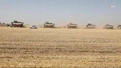 На Ставрополье усилят меры противопожарной безопасности во время жатвы