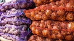 Ставрополье вошло в пятёрку регионов-лидеров по экспорту сельхозпродукции