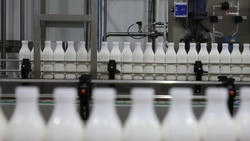 Ставрополье в 10 раз увеличило экспорт молочной продукции