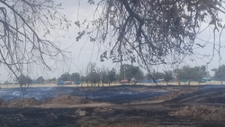 Пожар погубил часть домашнего скота в ставропольском селе