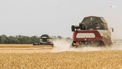 Для обработки почвы ставропольские аграрии используют 85 тысяч тонн удобрений 