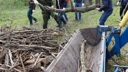 Красногвардейский округ присоединился ко Всероссийскому субботнику