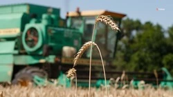 Аграриям Ставрополья окажут поддержку на сумму 4,5 млрд рублей
