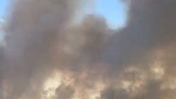 Очевидцы сняли на видео страшные пожары в полях Ставрополья