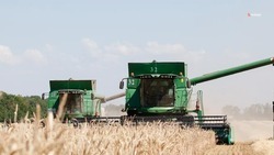 В Красногвардейском округе завершили уборку зерновых культур 