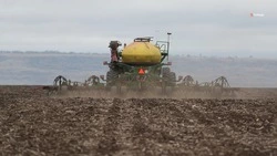 Свыше 5 млрд рублей господдержки получит сфера АПК на Ставрополье в 2023 году